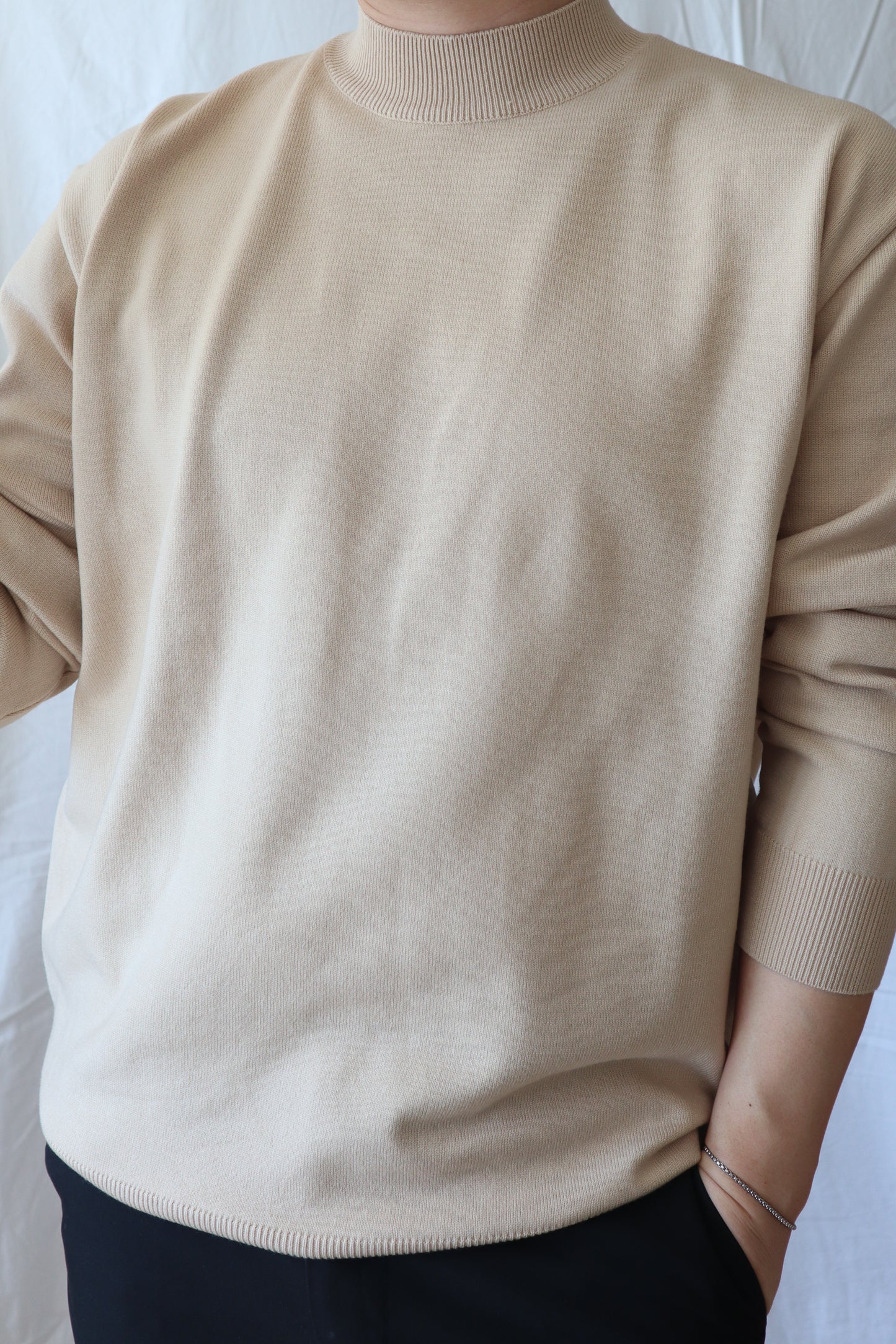 클린 반폴라 니트 (베이지, 프리) / Clean Half Neck Knit (Beige, Free Size)