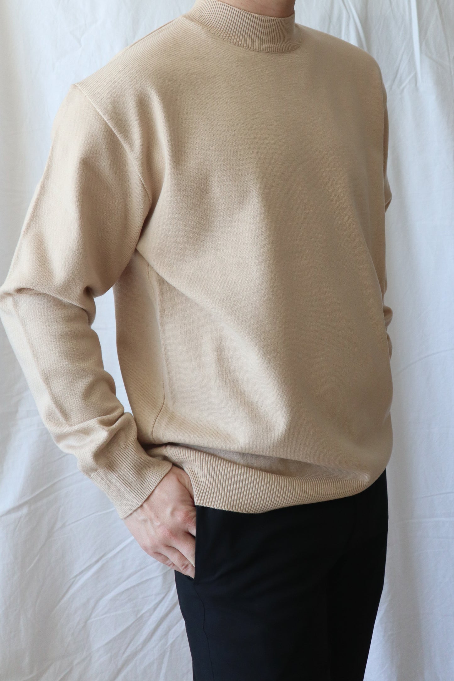 클린 반폴라 니트 (베이지, 프리) / Clean Half Neck Knit (Beige, Free Size)