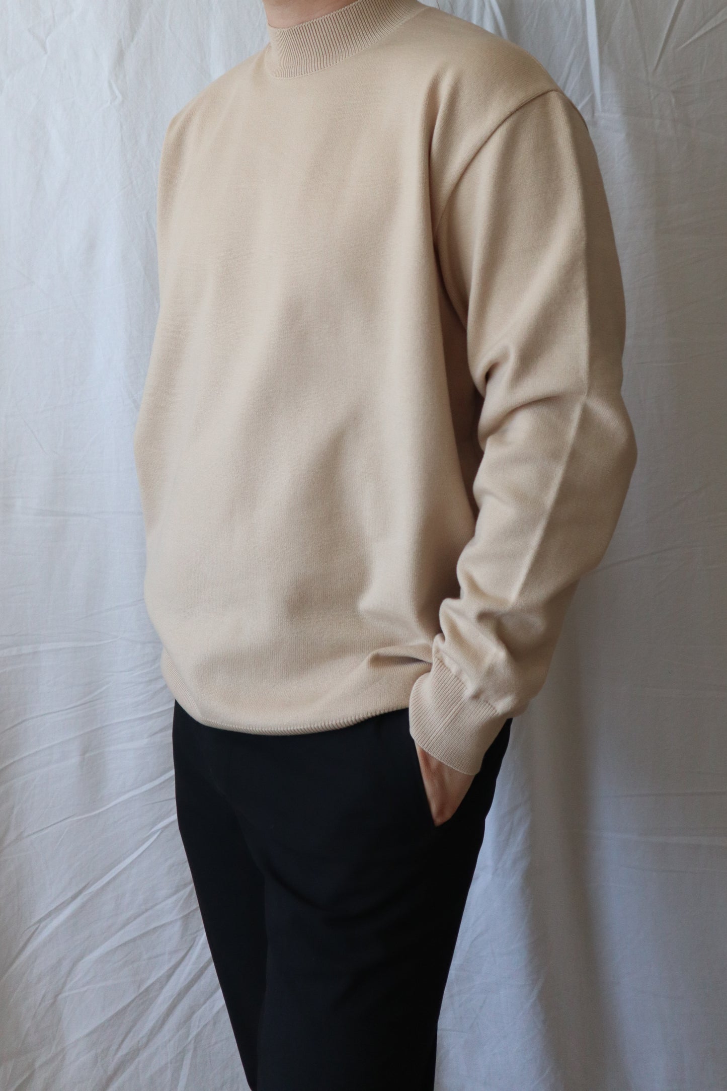 클린 반폴라 니트 (베이지, 프리) / Clean Half Neck Knit (Beige, Free Size)