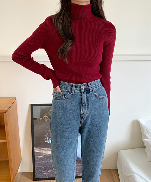 골지 폴라 Ribbed Turtleneck